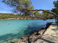 093_Cala Mondrago_PXL_20210830_135345890 Cala Barca