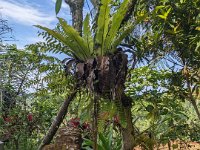 Bedoegoel 744-PXL_20240926_002001748 Lembah Cinta Mayungan