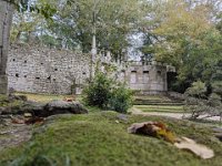 380-Bomarzo-PXL_20251023_114248811