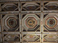 512-Tivoli-PXL_20251025_121627484