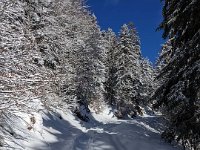 008-PXL_20230120_122709290