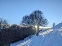 012-PXL_20240112_160024454