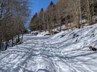 001-PXL_20260123_131538111