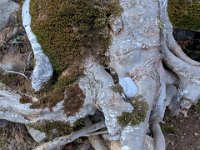 015-PXL_20260123_163149789