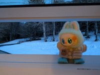 016-PXL_20260123_171654376