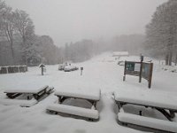 019-PXL_20260124_083053330