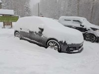 020-PXL_20260124_091215618