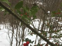 006-IMG_4833 Dim. 27/12 (Guzet Neige)