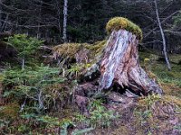 001-PXL_20211230_123303311 Jeu. 30/12 (Col d'Artigascou)