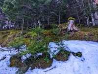 002-PXL_20211230_123309706 Jeu. 30/12 (Col d'Artigascou)