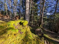 003-PXL_20211230_130809820 Jeu. 30/12 (Col d'Artigascou)