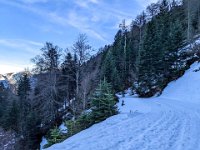 011-PXL_20211230_142533186 Jeu. 30/12 (Col d'Artigascou)