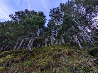 016-PXL_20211230_155317338 Jeu. 30/12 (Col d'Artigascou)