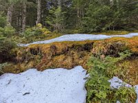 017-PXL_20211230_160825928 Jeu. 30/12 (Col d'Artigascou)