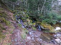 018-PXL_20211230_161046131 Jeu. 30/12 (Col d'Artigascou)