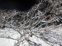 010-PXL_20230120_122852157 Vend. 20/01 (Cabane de l'Escalette)