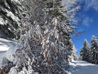 011-PXL_20230120_122936605 Vend. 20/01 (Cabane de l'Escalette)