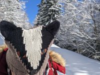 018-PXL_20230120_123344683 Vend. 20/01 (Cabane de l'Escalette)