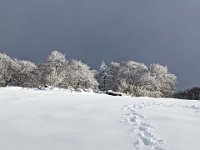 015-PXL_20250131_153523827 Vend. 31/01 (Cabane de l'Escalette)