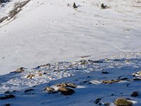 010-PXL_20260123_160109326 Vend. 23/01 (Cabane de l'Escalette)