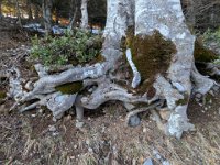 014-PXL_20260123_163213529 Vend. 23/01 (Cabane de l'Escalette)